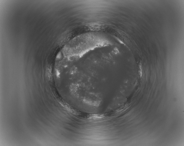 X0000064720610200603031617