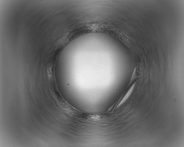 X0000064720611200603031617