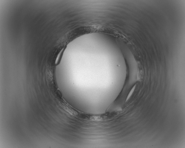 X0000064720613200603031617