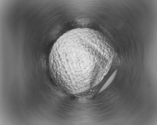 X0000064720615200603031617