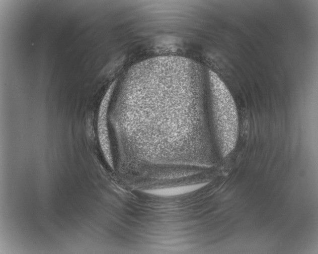 X0000064720616200603031617