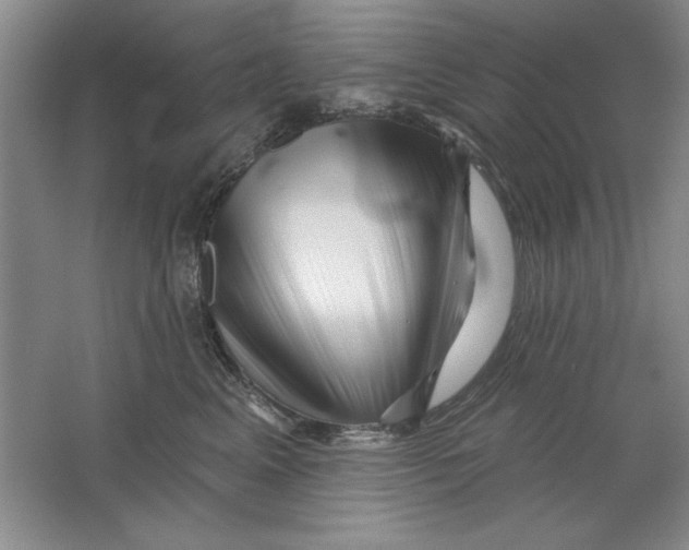 X0000064720617200603031617