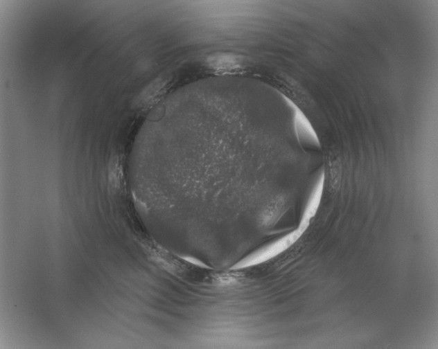 X0000064720618200603031617