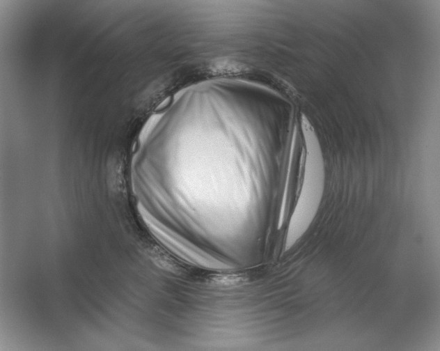 X0000064720619200603031617