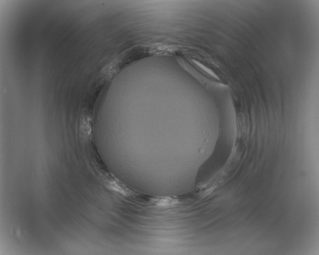 X0000064720621200603031617