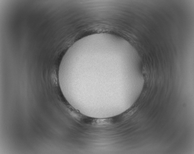 X0000064720622200603031617