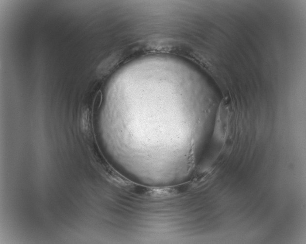 X0000064720623200603031617
