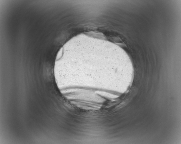 X0000064720624200603031617