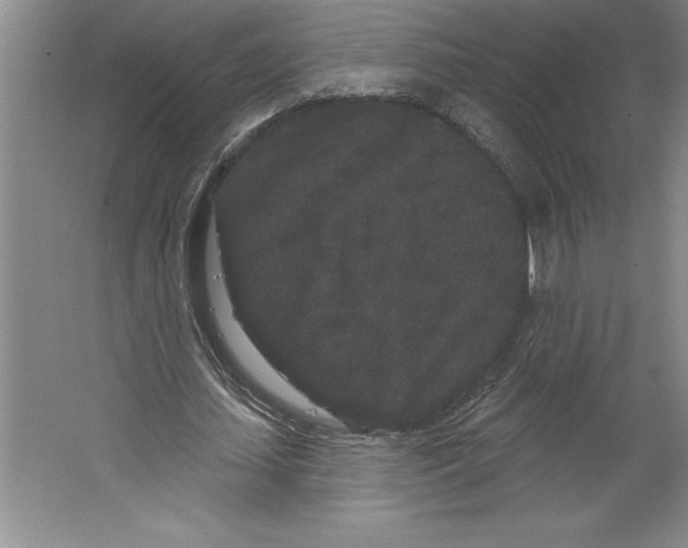 X0000064720627200603031616