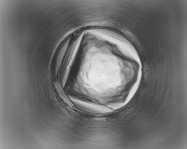 X0000064720628200603031616