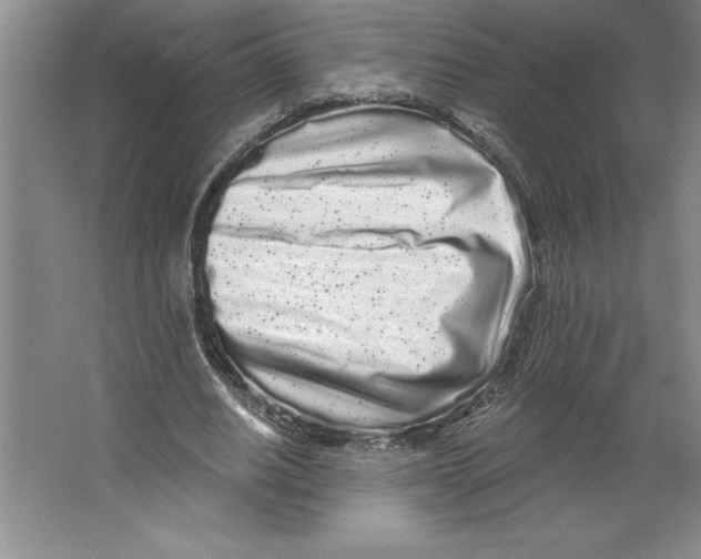 X0000064720630200603031616