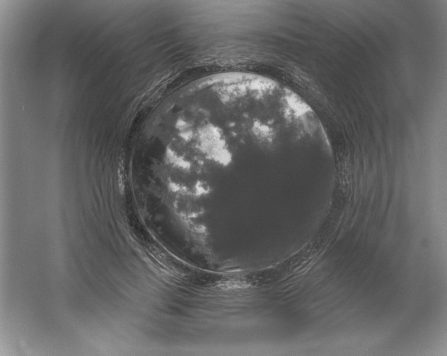 X0000064720644200603031617