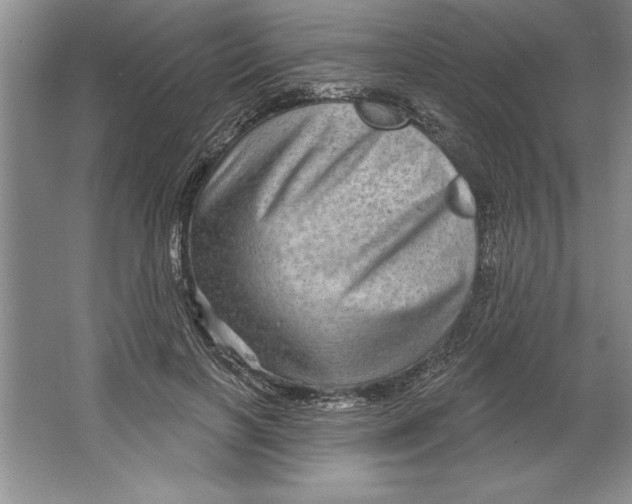 X0000064720646200603031617