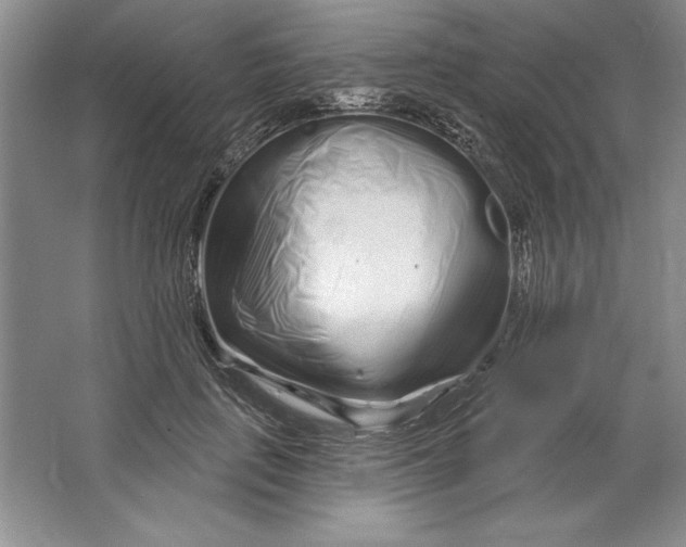X0000064720651200603031617