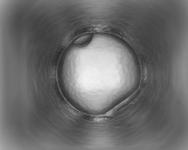 X0000064720657200603031617