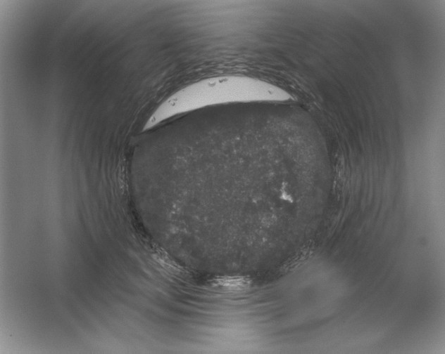 X0000064720659200603031617