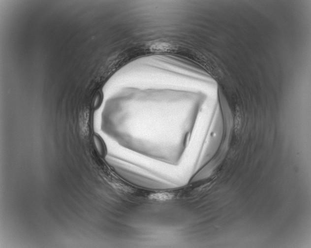 X0000064720660200603031617
