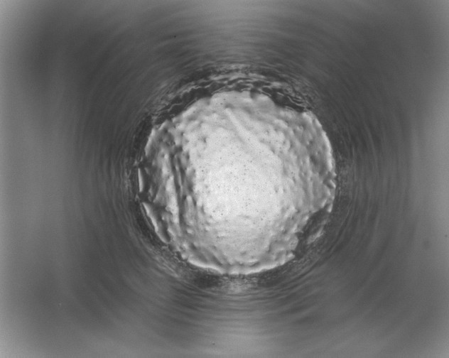 X0000064720662200603031617