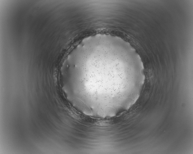X0000064720664200603031617