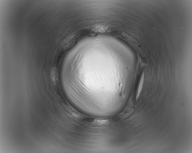 X0000064720665200603031617