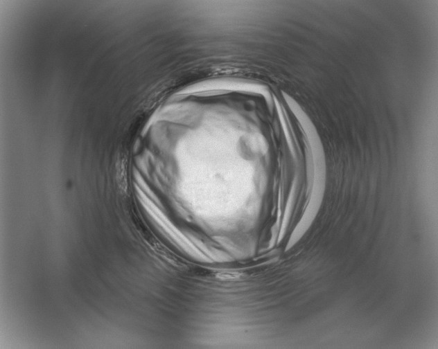 X0000064720666200603031617