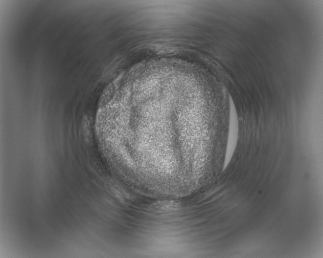 X0000064720667200603031617
