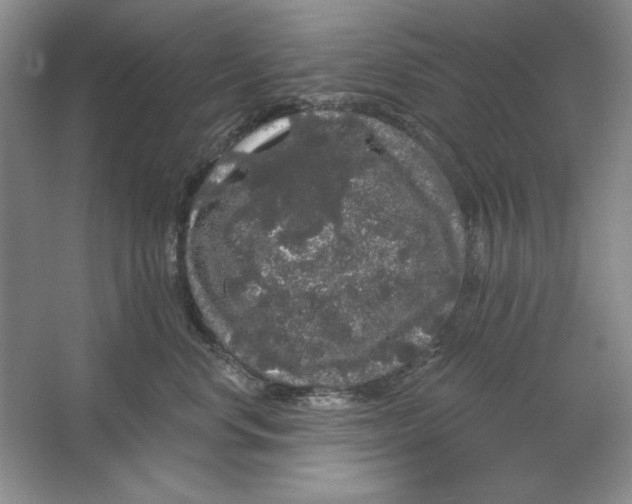 X0000064720668200603031617