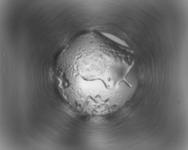 X0000064720669200603031617