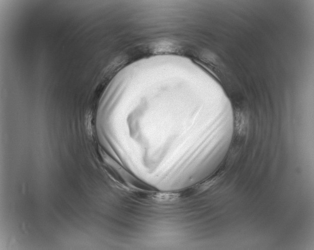 X0000064720670200603031617
