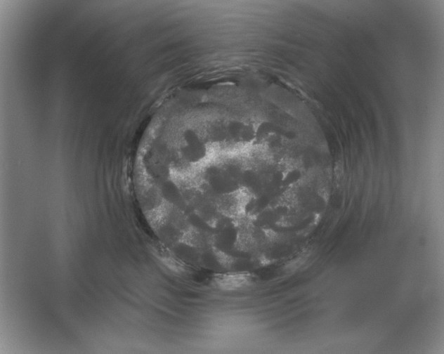 X0000064720671200603031617