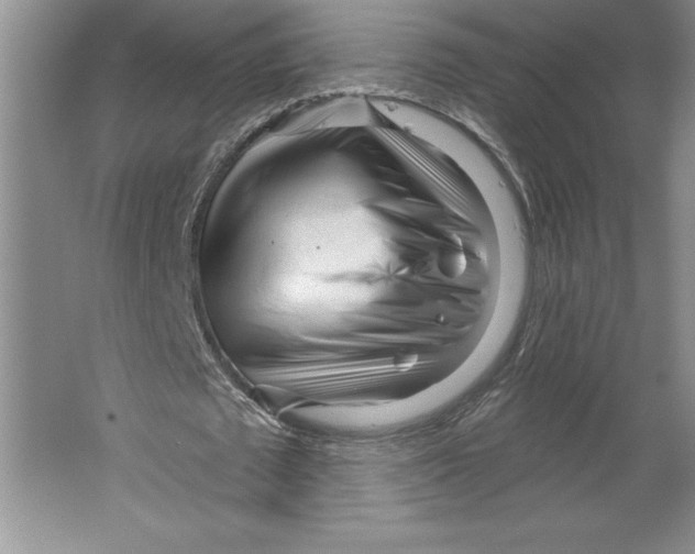X0000064720673200603031616