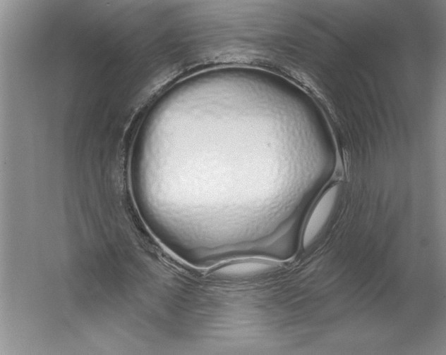 X0000064720675200603031616