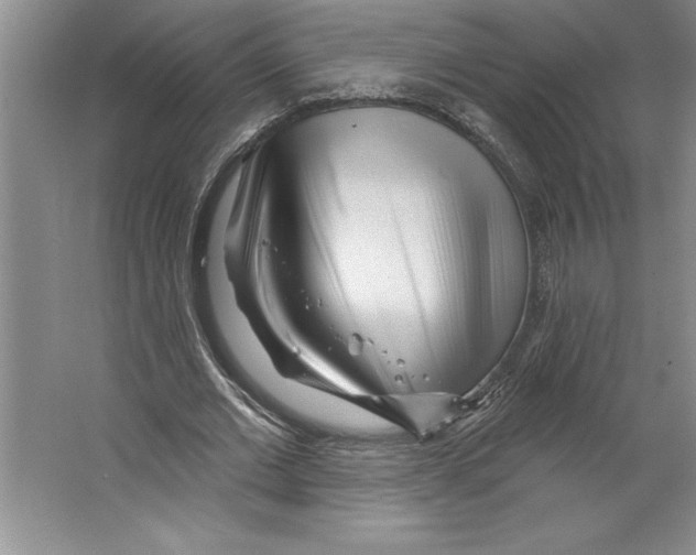 X0000064720677200603031616