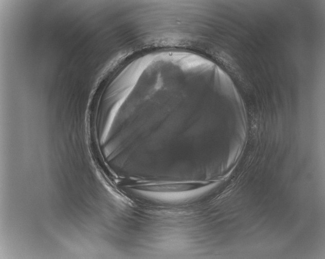X0000064720678200603031616