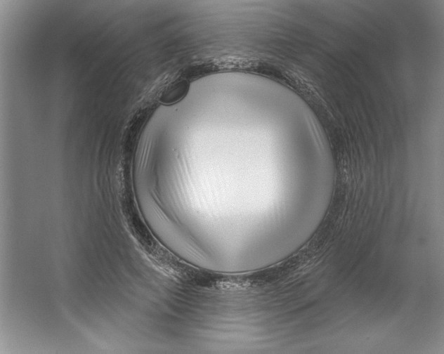 X0000064720690200603031616