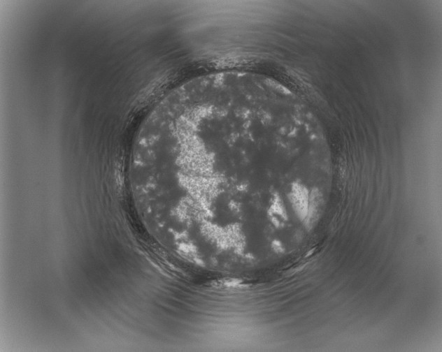 X0000064720691200603031616