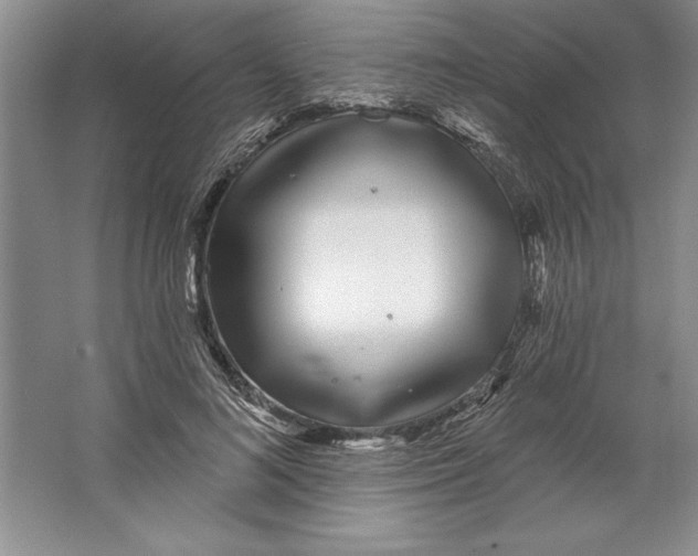X0000064720692200603031616