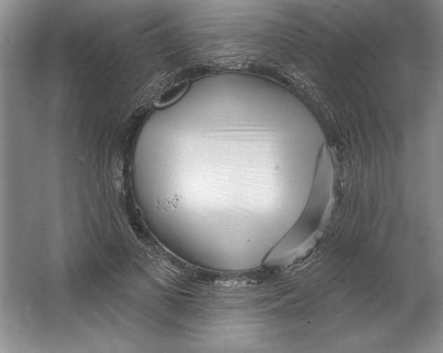 X0000064720693200603031616