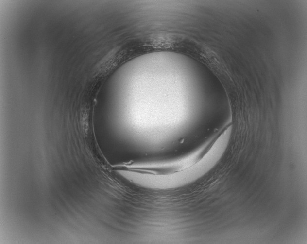 X0000064720697200603031616