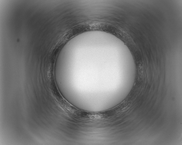 X0000064720698200603031616