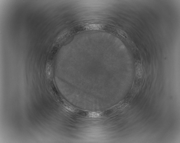 X0000064720701200603031616