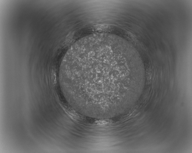 X0000064720703200603031616
