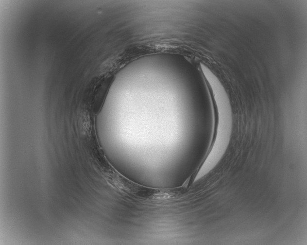 X0000064720704200603031616
