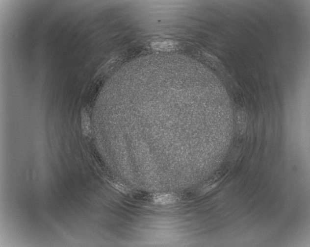 X0000064720705200603031616