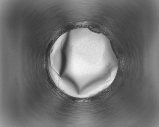 X0000064720708200603031616