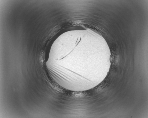 X0000064720710200603031616