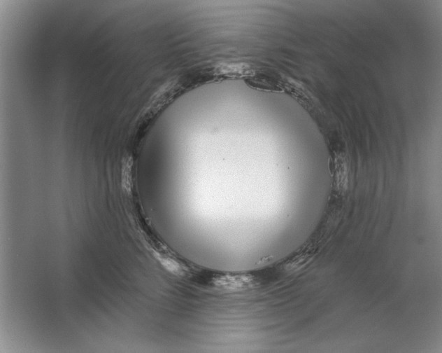 X0000064720712200603031616