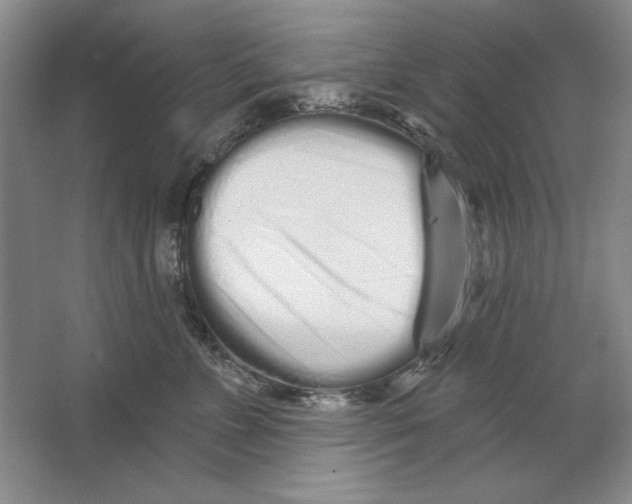 X0000064720715200603031616