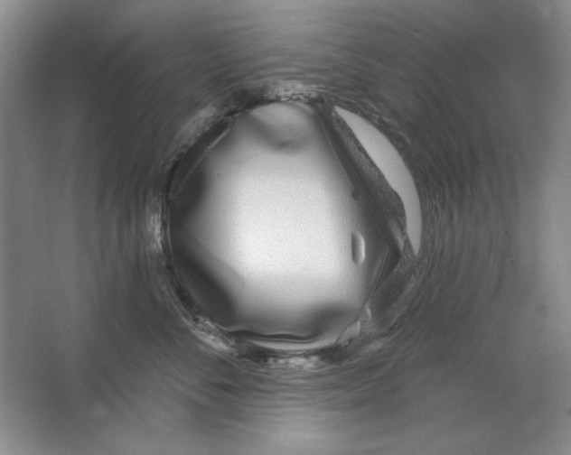 X0000064720716200603031616