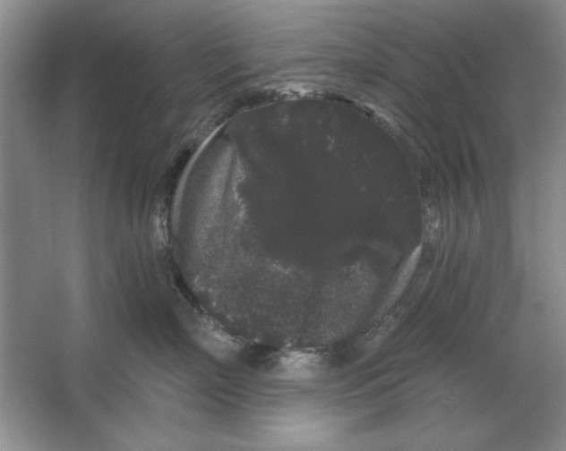X0000064720718200603031616
